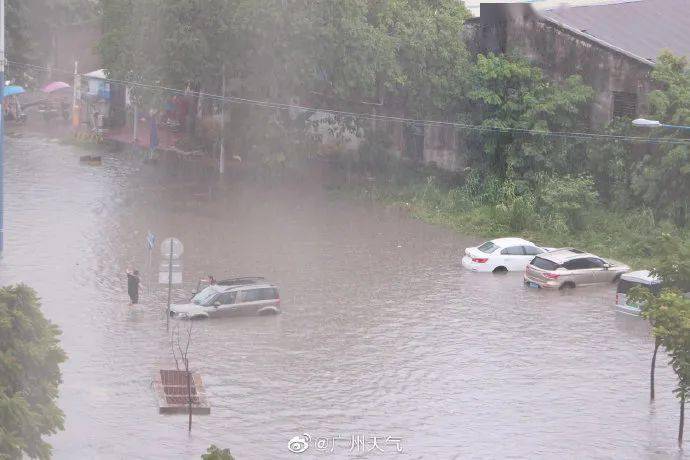 最新暴雨情况报告概览