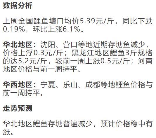 鲤鱼价格行情最新动态解析