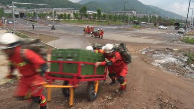 最新地震预警技术，人类安全的坚实守护者