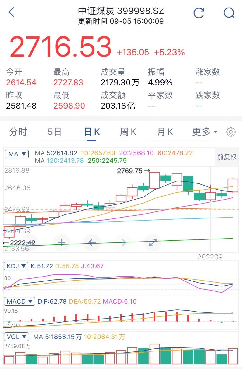 煤炭市场最新动态解析，行情走势、影响因素与未来展望