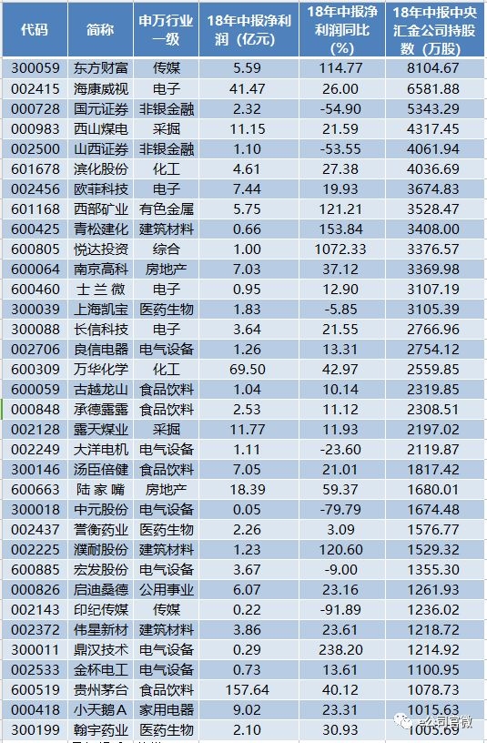 中央汇金最新持股名单公开