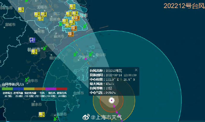 上海台风最新动态解析及应对措施​​