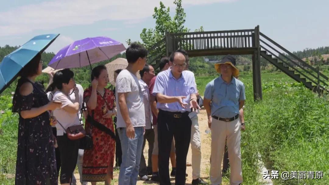 青原区交通运输局最新动态报道