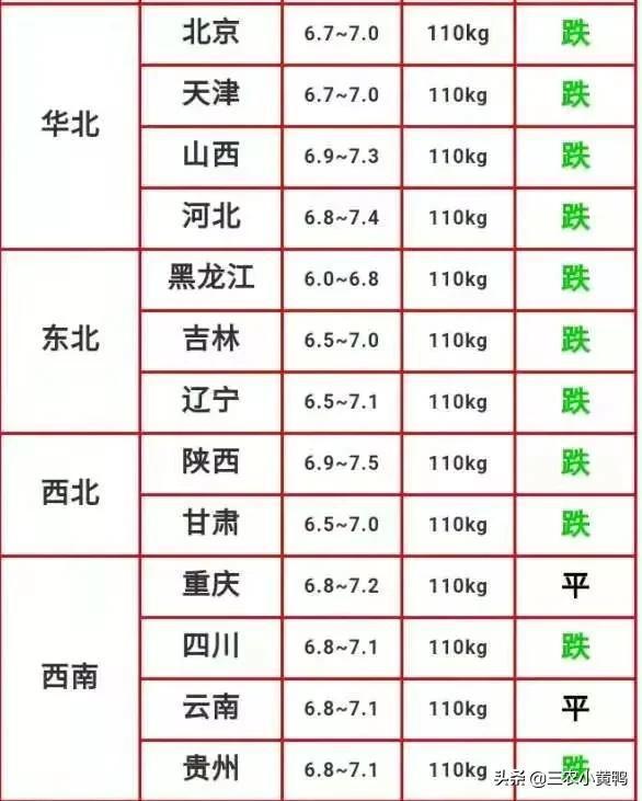 猪肉价格最新动态解析，市场走势、影响因素与应对策略