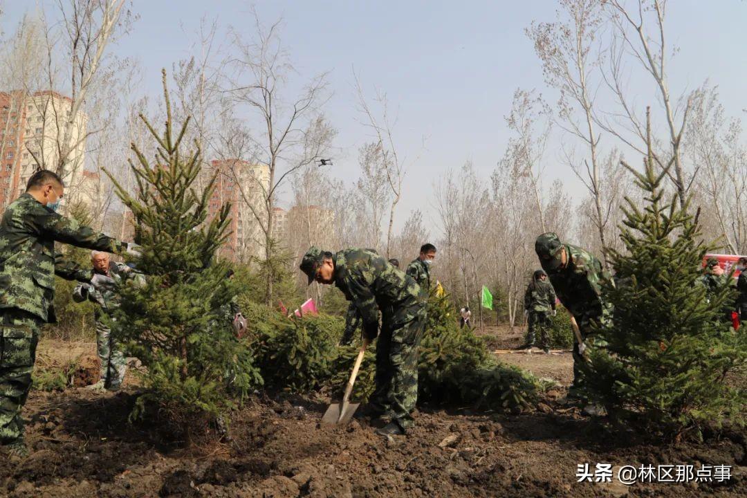 桦南县住房和城乡建设局最新动态报道