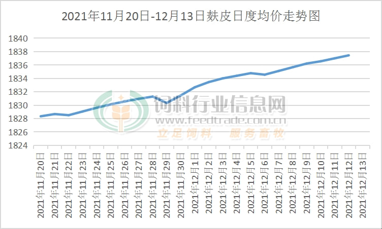 2024年12月11日 第9页