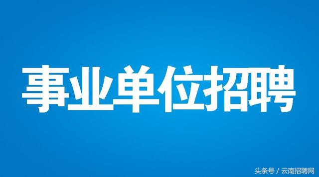 荔湾区交通运输局最新招聘信息全面解析