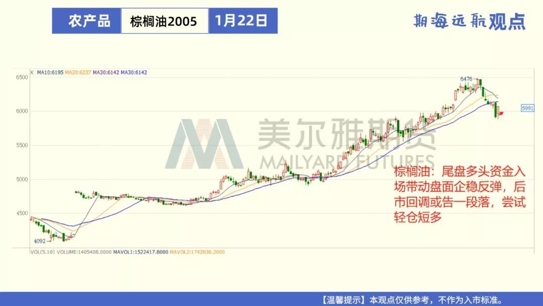 棕榈期货最新动态，市场走势、影响因素与未来展望